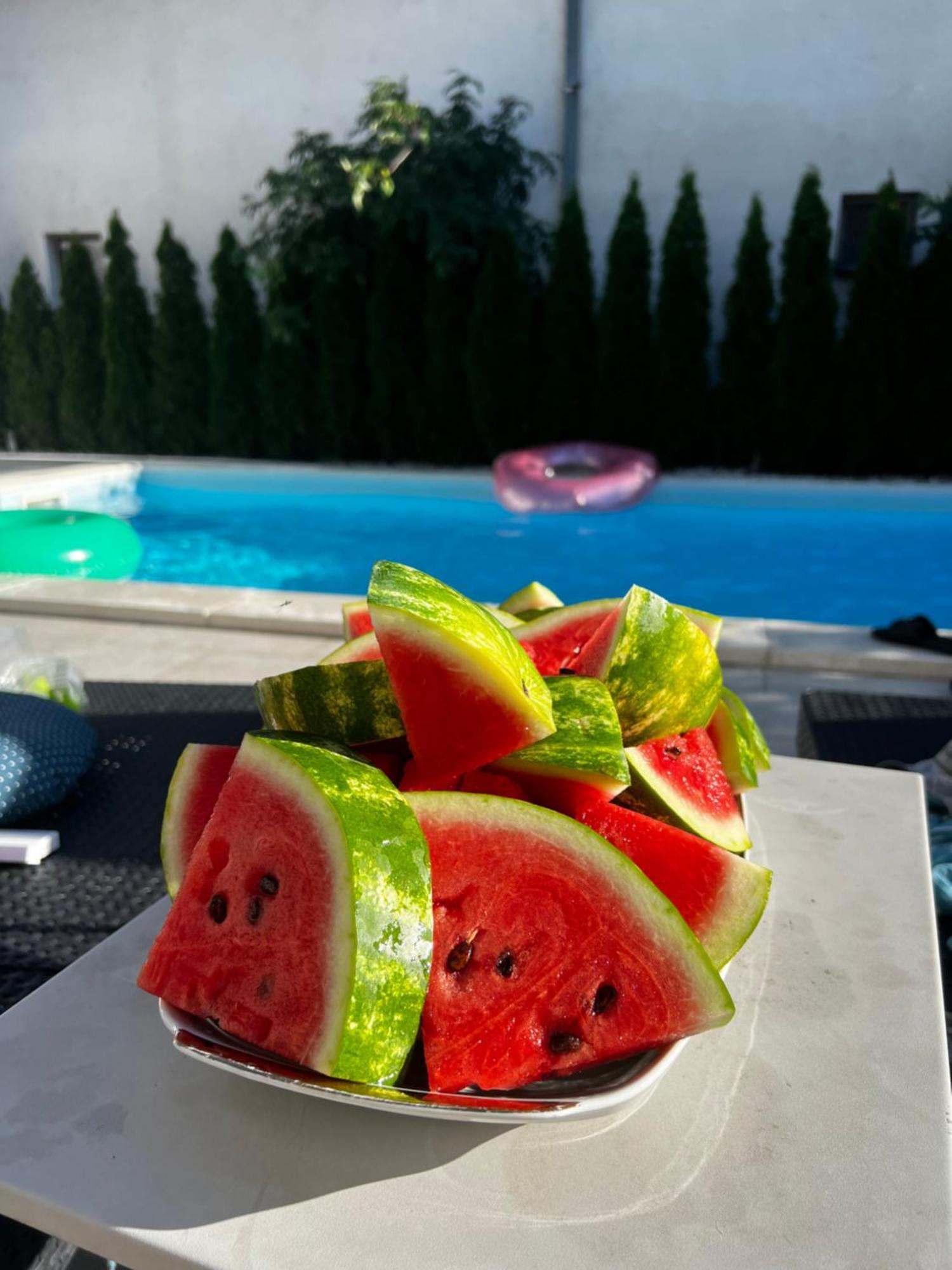 Villa Mina Kladovo, 5-Bedroom Villa With Pool For Up To 12 People 외부 사진